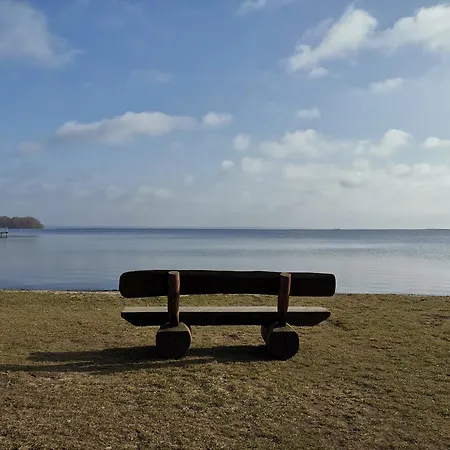 Mueritz Im Mueritz Seepark 41 B Holiday home Robel